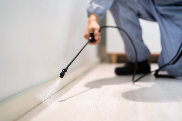 Licensed Cockroach Control service in Heflin, AL - Nex Pest Control