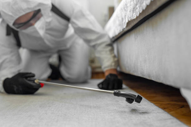Professional Cockroach Control technician working in Heflin, AL