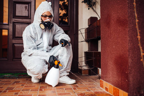 Reliable Cockroach Control contractor in Heflin, AL by Nex Pest Control