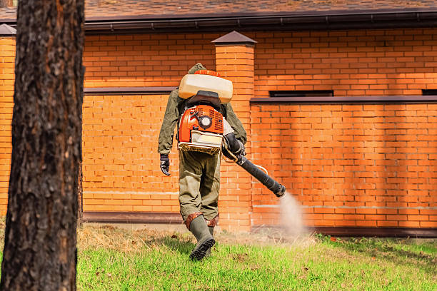 Top rated local Cockroach Control specialists in Heflin, AL